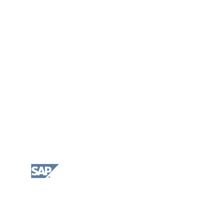 SAP-Modulberatung Abbildung